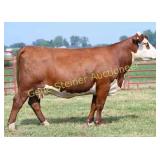 FSL MISS LOUISE 84F 27H 19L