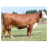 JLCS 107F MISS D14 K46