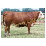 BERG 4013 MOLLY 15L