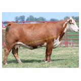 CHF 132E STELLA 1060