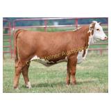 KH JLCS 178J PAIGE J45 N30