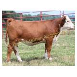 JLCS 216J ROSY LANE 325 N28