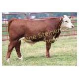 JLCS 569G SECRET SAUCE N43