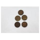 5 Indian Head Pennies