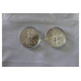 1999 & 2000 American Eagle Coins
