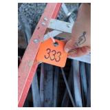 12ft Werner Ladder