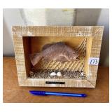 SHADOW BOX