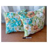2 PILLOWS