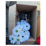 BOX AND CONTENTS
