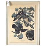 After J.J. Audubon