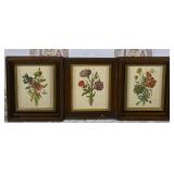 3 Vintage Botanical Prints
