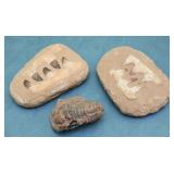 Fossilized Items
