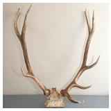 Antlers