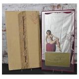 A.J. Steele Nude Advertising Mirror