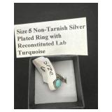 Size 5 non tarnish silver plates with lab