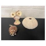 Oregon shell collection art