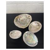 4 abalone shells,