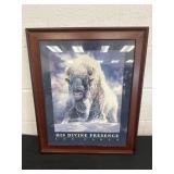 Matted and Framed Buffalo print ï¿½his Devine