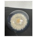 3ï¿½ dandelion seed puff paperweight.