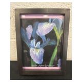 9ï¿½x6ï¿½ Jayleen Brentlinger framed picture