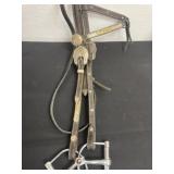 Show horse head halter and bit