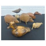 Group of wood ducks and pigs
