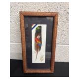 Framed parrot painted on feather 9ï¿½x4ï¿½
