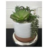 9ï¿½ fake Plant in planter with base