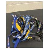 Group of lanyards