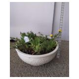 Succulent and moss rose in ceramic planner 6in by