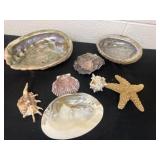Box of seashells
