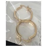 Nice pair of earrings