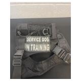 Service dog in training vest
