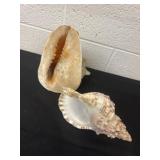2 giant shells