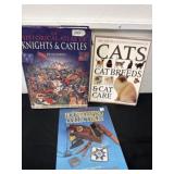 Cats books and castles and house keeping