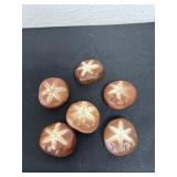 Plastic shiitake mushrooms.