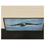 American Eagle Framed Print 37x13.5