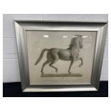 26x30 Horse Cavallo Framed