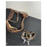 Horse collar with spurs