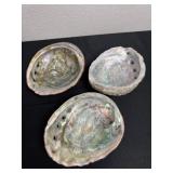 Three 7' natural Red Abalone shells