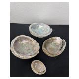 4 natural Abalone shells