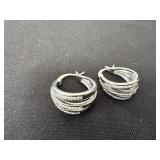 Fancy hoop earrings