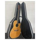 Applause Acoustic Electric Guitar in Vation Case,