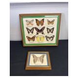 vintage-style wooden framed display containing