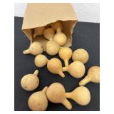 20 miniature gourds
