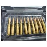 20 Hornady 243 rounds