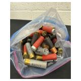 Group of shot gun shells