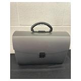 Organizer file bag