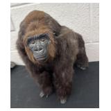 12ï¿½ gorilla