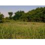 156.97± ACRES Medford OK